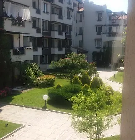 Oasis & Parus